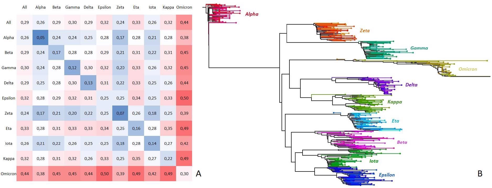 Nucleotide rate dissimilarity matrix and phylogenetic tree of SARS-CoV-2 variant families.