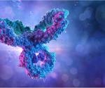 Study shows IgA antibodies play a significant role in neutralizing SARS-CoV-2