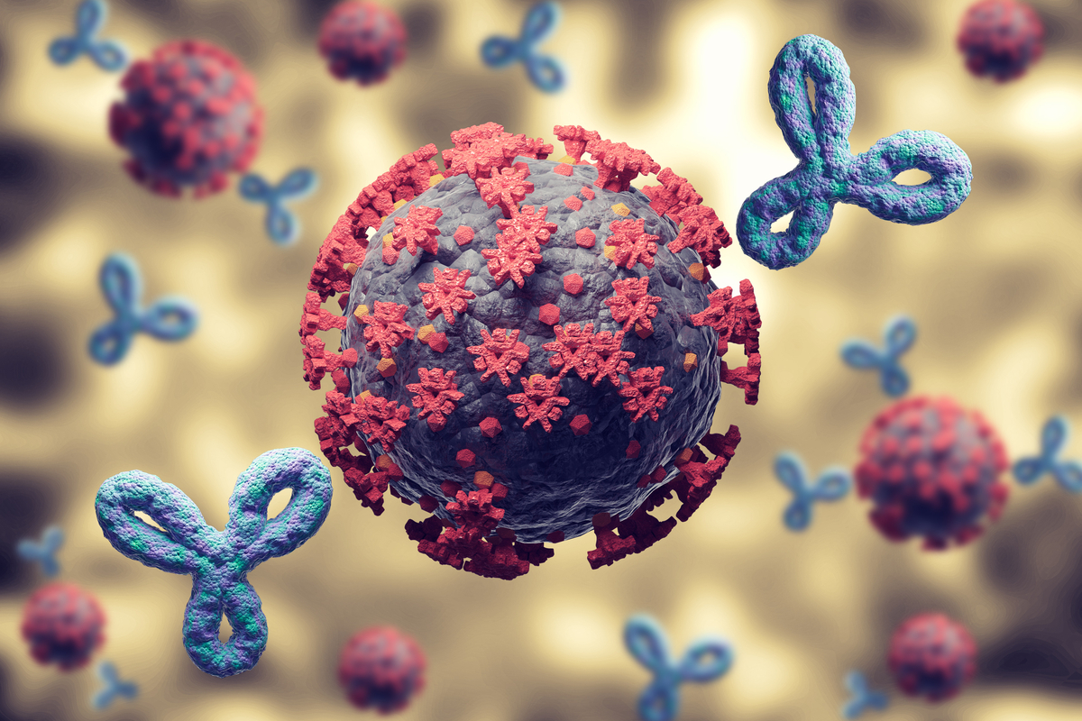 Study: Poor neutralization and rapid decay of antibodies to SARS-CoV-2 variants in vaccinated dialysis patients. Image Credit: Adao/Shutterstock