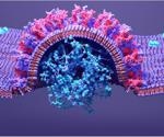 RNA capping mechanism of SARS-CoV-2 unveiled