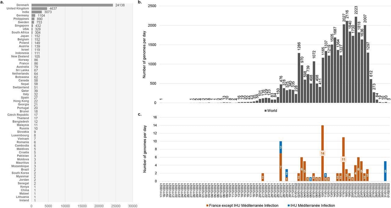 Number of genomes of the SARS-COV-2 21L/BA.2 Omicron variant available in GISAID and chronology of collections of respiratory samples from where they were obtained a: Number of genomes of the SARS-COV-2 21L/BA.2 Omicron variant available in the GISAID sequence database (https://www.gisaid.org/)15 as of 02/02/2022. b: Chronology of SARS-CoV-2 diagnoses with the 21L/BA.2 Omicron variant for genomes deposited in the GISAID sequence database and obtained worldwide. c: Chronology of SARS-CoV-2 diagnoses with the 21L/BA.2 Omicron variant for genomes deposited in the GISAID sequence database and obtained in France or in our university hospital institute. The number of genomes was analyzed until 02/02/2022. Total number of genomes analyzed was 36,428. A total of 1,093 genomes were excluded as the date of sample collection was incomplete (days or months were lacking).