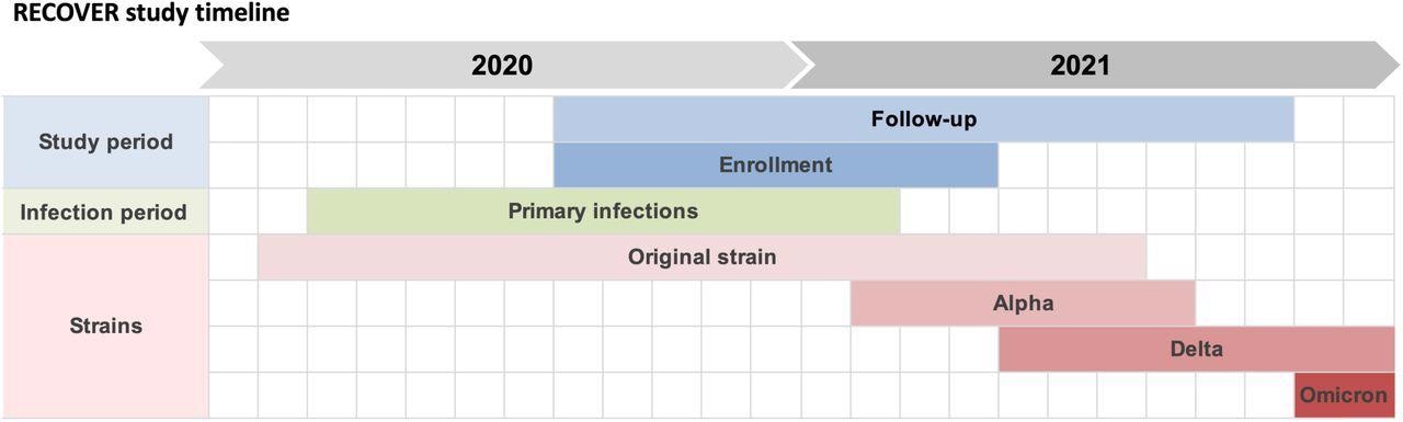 Timeline of the RECOVER study, overlayed with variants in circulation during the study period. Enrolment of participants was from August 17th 2020 to April 8th 2021. Follow-up period (for the results presented in this paper) was from August 17th 2020 to October 19th 2021. Enrolled participants acquired their primary infection between March 6th 2020 and February 14th 2021. Approximate periods for circulation of variants were derived from provincial surveillance data.
