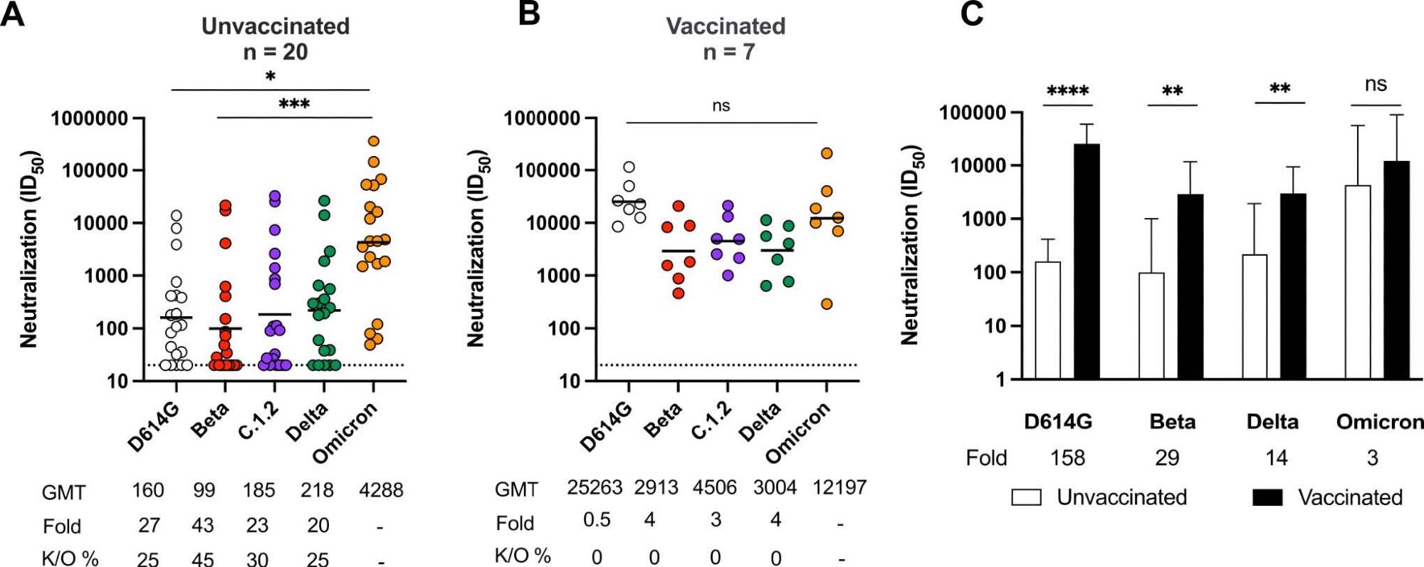 Omicron triggers cross-variant neutralizing antibodies which are broadened by vaccination Neutralization titer (ID50) of Omicron-infected plasma against D614G, Beta, C.1.2, Delta and Omicron pseudoviruses shown for (A) unvaccinated individuals (n=20) or (B) individuals vaccinated with either one dose of Ad26.CoV.2S or two doses of BNT162b2 (n=7). Lines indicate geometric mean titer (GMT) also represented below the plot with fold decrease and knockout (K/O) of activity for other variants as a percentage relative to Omicron. Dotted lines indicate the limit of detection of the assay. Statistical significance across variants is shown by Friedman test with Dunns correction. (C) Bars show geometric mean neutralization titers for vaccinated (black) and unvaccinated (white) individuals against variants of concern with error bars showing standard deviations with fold decreases relative to vaccinated individuals indicated below the plot. Statistical significance between vaccinated and unvaccinated samples by the Mann Whitney test. *p<0.05; **p<0.01; ***p<0.001; ****p<0.0001 and ns = non-significant.