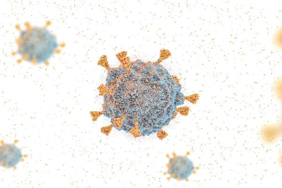 Study: Virological characteristics of SARS-CoV-2 BA.2 variant. Image Credit: CI Photos/Shutterstock