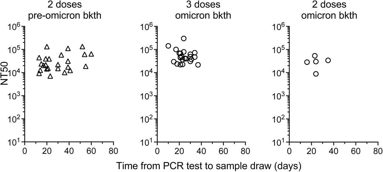 Correlation of time after sample collection and neutralizing antibody titers. The NT50 values from samples collected from vaccinated individuals that experienced a breakthrough infection is shown relative to the time (days) between infection diagnosis and sample collection.