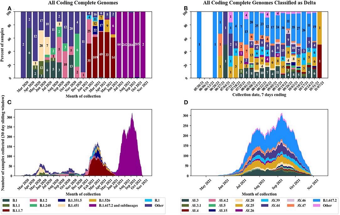 Pango lineages of circulating SARS-CoV-2 strains in the U.S. military before and after implementation of the EUA vaccines. (A) Distribution of Pango lineages by month for all samples, (B) distribution of Delta variant sublineages by month, (C) stacked chart displaying all lineages per month, and (D) stacked chart displaying Delta variant sublineages by month.