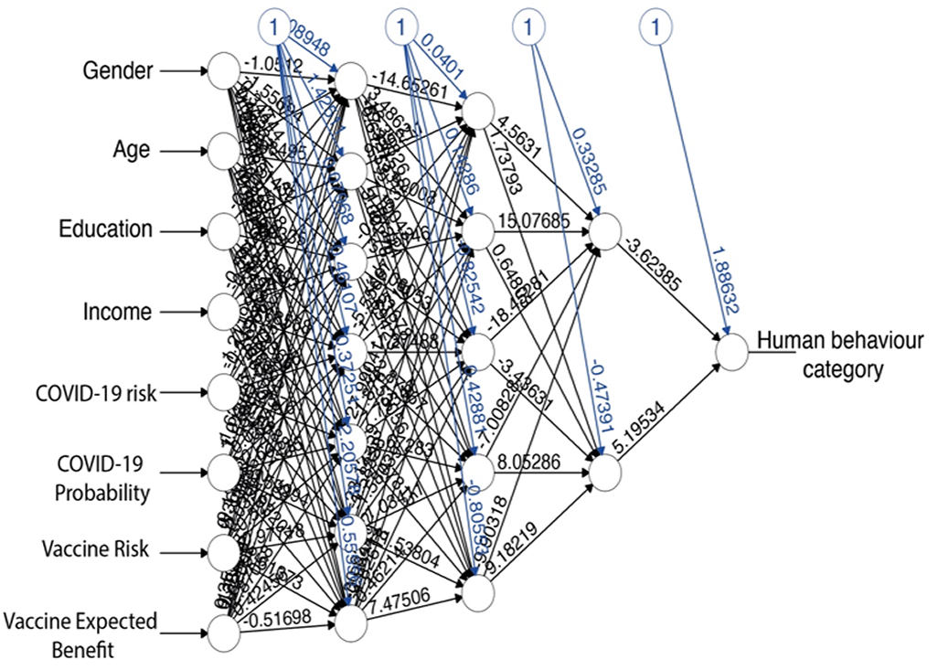 Neural network analysis structure
