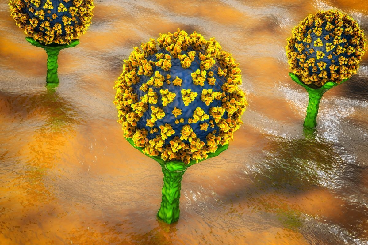 Study: A novel consensus-based computational pipeline for rapid screening of antibody therapeutics for efficacy against SARS-CoV-2 variants of concern including omicron variant. Image Credit: Kateryna Kon/Shutterstock