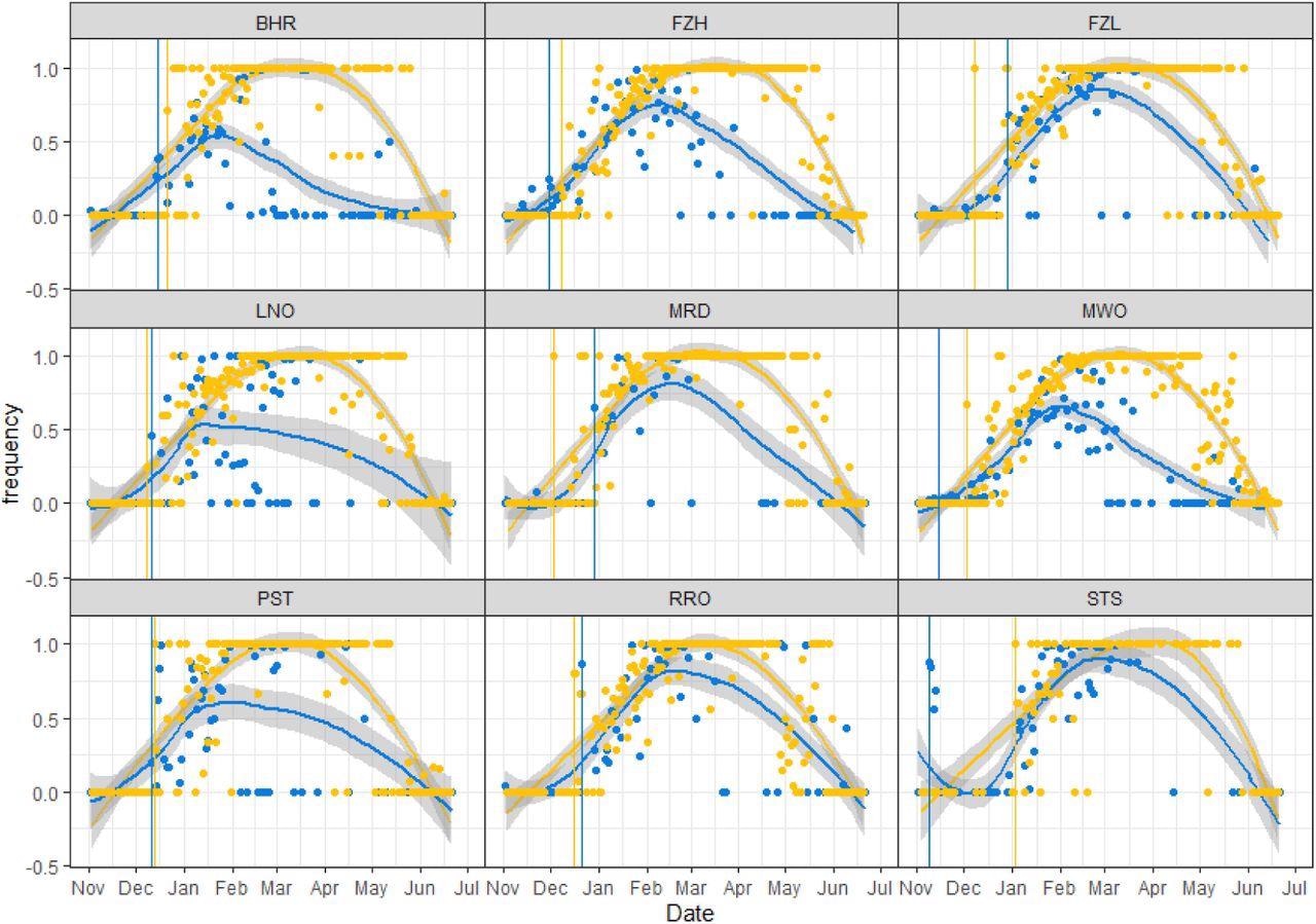 Frecuencia promedio de B.1.1.7 (Alpha) SNP/Indels detectados en aguas residuales versus muestras clínicas en cada cuenca, del 2 de noviembre de 2020 al 26 de junio de 2021. Los puntos muestran la frecuencia promedio de mutaciones alfa únicas para una muestra de agua residual determinada. azul) y la frecuencia de casos clínicos alfa a partir de una fecha dada (amarillo).  Las líneas de colores muestran el ajuste de la regresión polinomial local, incluidos los intervalos de confianza del 95 % sombreados.  Las líneas verticales indican el primer caso clínico confirmado de Alfa (amarillo) y la primera detección en aguas residuales de mutaciones alfa concurrentes en el amplicón 147 (azul).