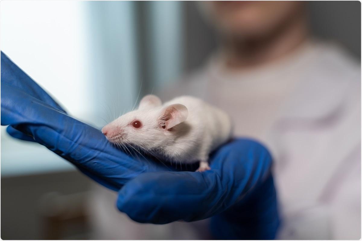 Study: A model of persistent post SARS-CoV-2 induced lung disease for target identification and testing of therapeutic strategies. Image Credit: Egoreichenkov Evgenii / Shutterstock.com