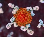Research explains how SARS-CoV-2 variants evade some antibodies
