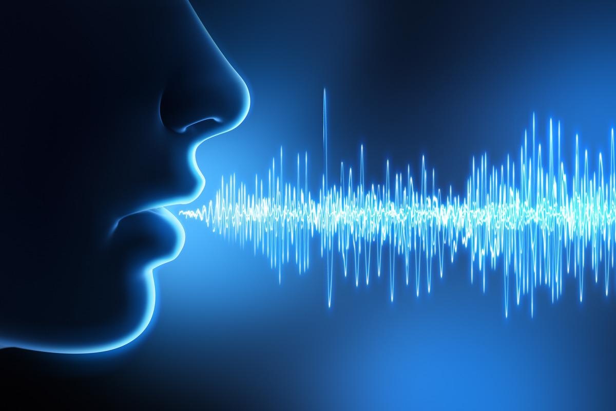 Study: A neural population selective for song in human auditory cortex. Image Credit: peterschreiber.media/Shutterstock
