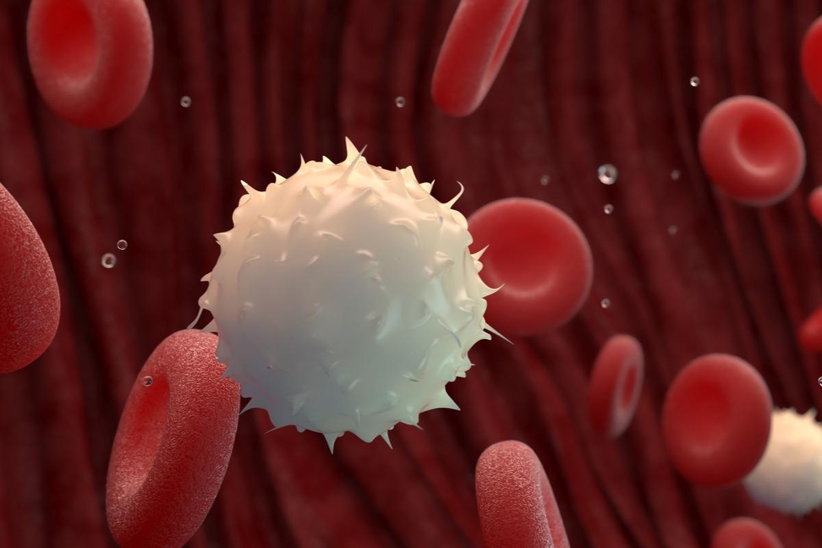 Study: White Blood Cell Variability and Clinical Outcomes in Hospitalized Patients With COVID-19. Image Credit: cenksns/Shutterstock