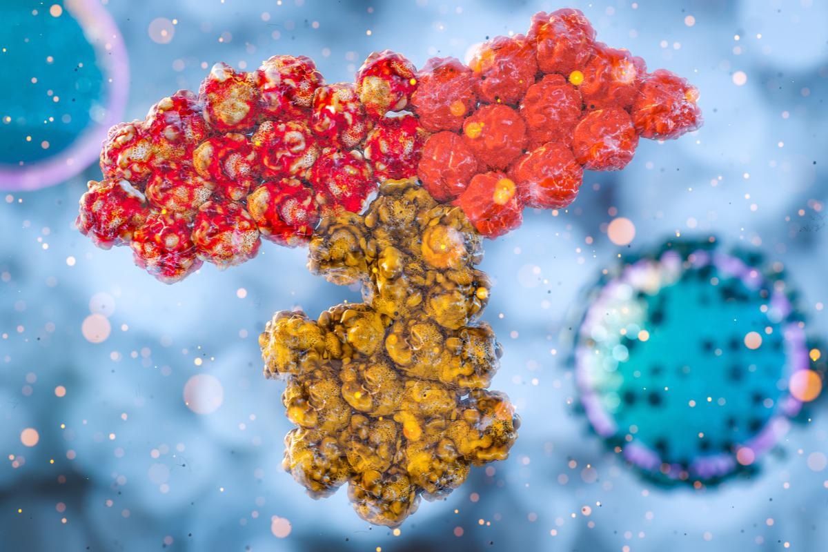 Study: SARS-CoV-2 antibody persistence after five and twelve months: A cohort study from South-Eastern Norway. Image Credit: CI Photos/Shutterstock