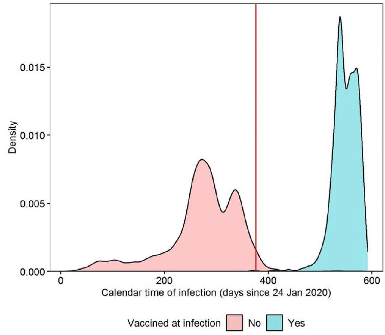 Density plot of calendar time of first infection, stratified by whether study participants were double-vaccinated ≥14 days before infection; the red line indicates the introduction of the survey question on Long Covid on 3 February 2021 Calendar time of infection calculated as the number of days from 24 January 2020, when the first COVID-19 case was reported in the UK. Density estimated from 3,333 double-vaccinated participants and 9,854 unvaccinated participants before matching.