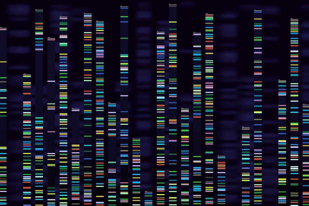 Study: Rapid genome surveillance of SARS-CoV-2 and study of risk factors using shipping container laboratories and portable DNA sequencing technology. Image Credit: Tartila/Shutterstock