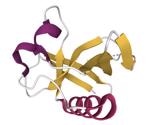 Triple drug regimen proven effective against non-structural protein-1 of SARS-CoV-2