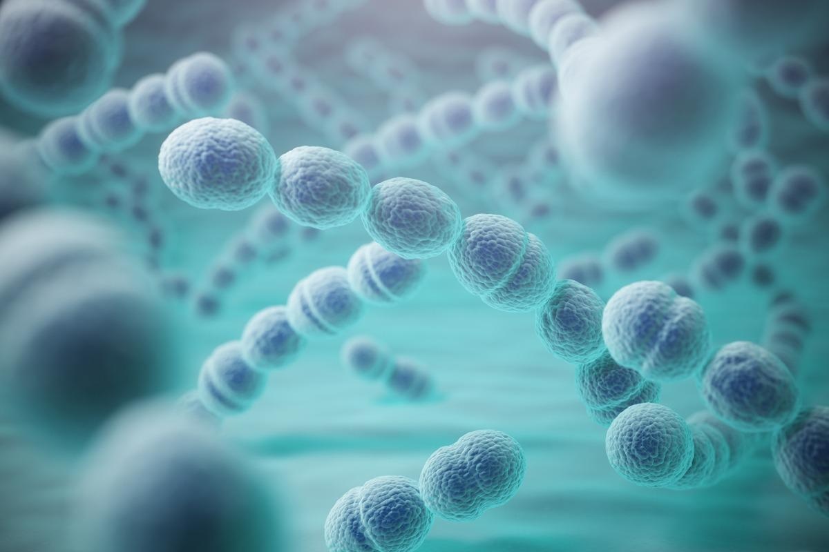 Study: Time-Dependent Increase in Susceptibility and Severity of Secondary Bacterial Infection during SARS-CoV-2 Infection. Image Credit: Maxx-Studio/Shutterstock