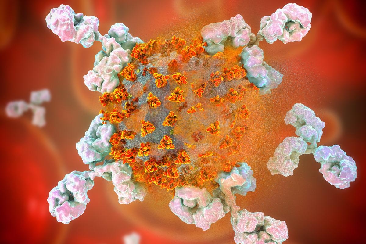 Study: Variability in SARS-Cov-2 IgG Antibody Affinity To Omicron and Delta Variants in Convalescent and Community mRNA Vaccinated Individuals. Image Credit: Kateryna Kon/Shutterstock