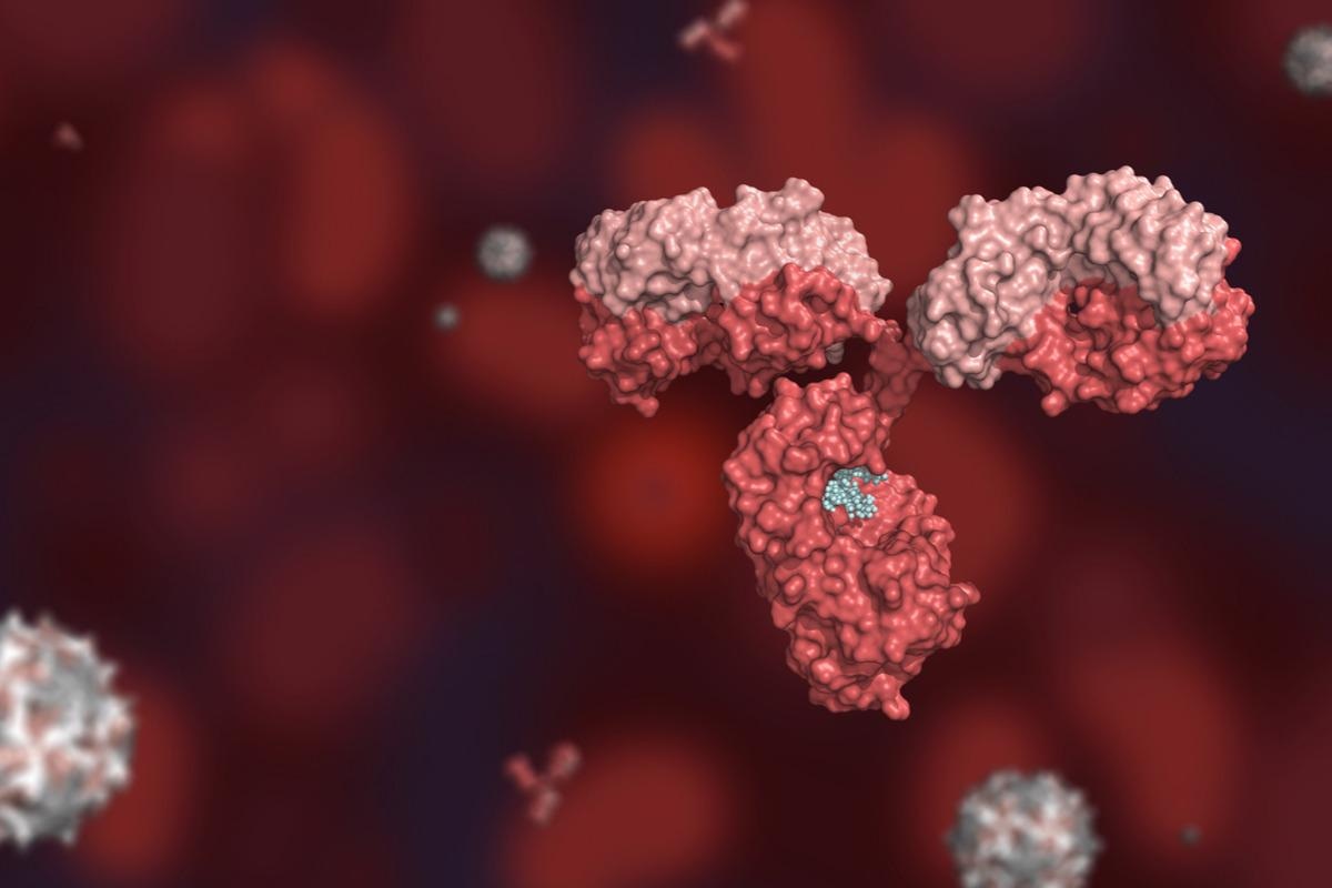 Study: Longitudinal monitoring of SARS-CoV-2 neutralizing antibody titers and its impact on employee personal wellness decisions. Image Credit: Huen Structure Bio/Shutterstock