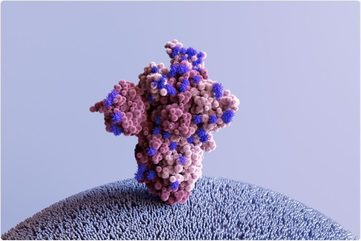 Study: The Future of the COVID-19 Pandemic: How Good (or Bad) Can the SARS-CoV2 Spike Protein Get? Image Credit: Design_Cells / Shutterstock.com