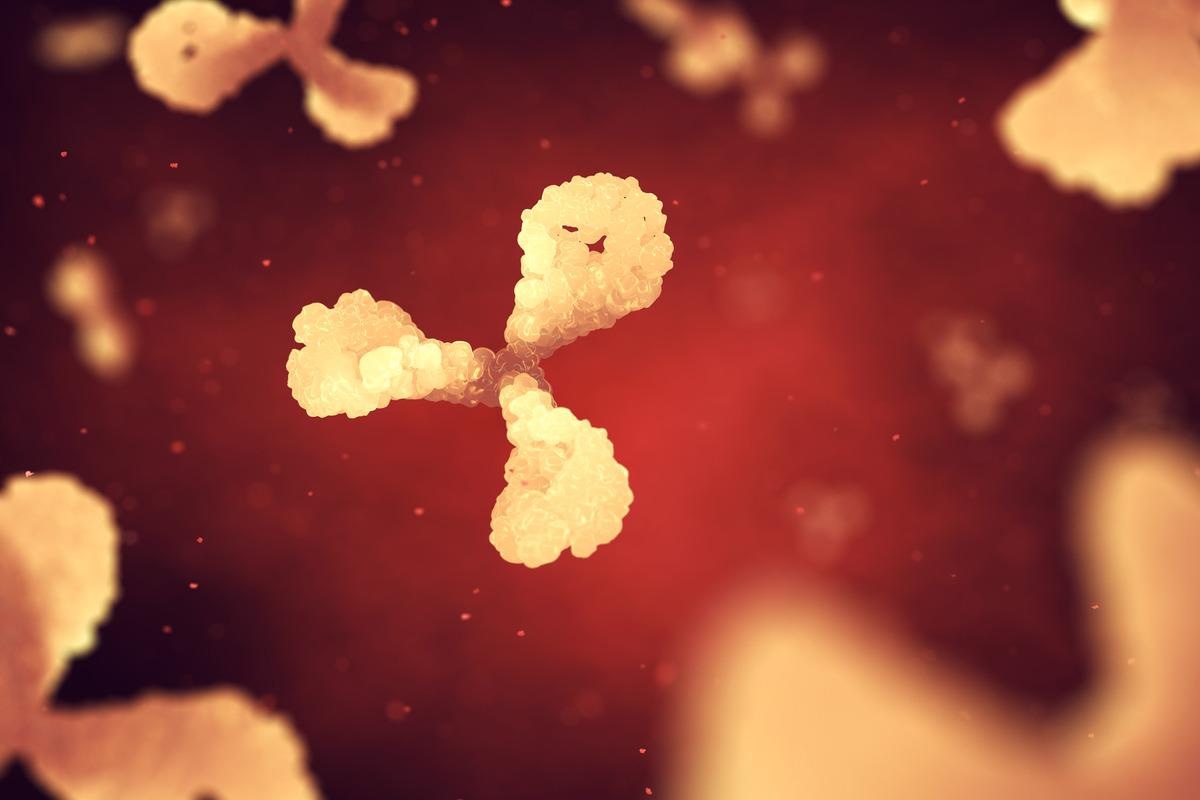 Study: Broadly neutralizing anti-S2 antibodies protect against all three human betacoronaviruses that cause severe disease. Image Credit: nobeastsofierce/Shutterstock