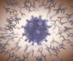 Engineered SARS-CoV-2 immunogens elicit broadly neutralizing antibodies