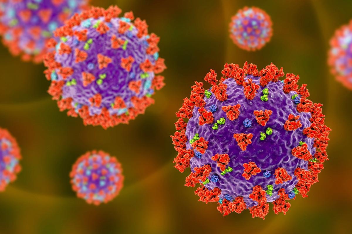 Study: Anti-spike antibody response to natural infection with SARS-CoV-2 and its activity against emerging variants. Image Credit: Kateryna Kon/Shutterstock