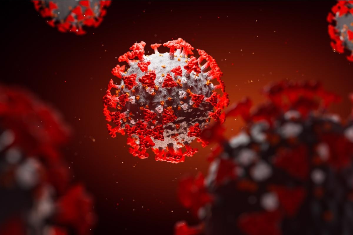 Study: Cross-Recognition of SARS-CoV-2 B-Cell Epitopes with Other Betacoronavirus Nucleoproteins. Image Credit: pinkeyes/Shutterstock
