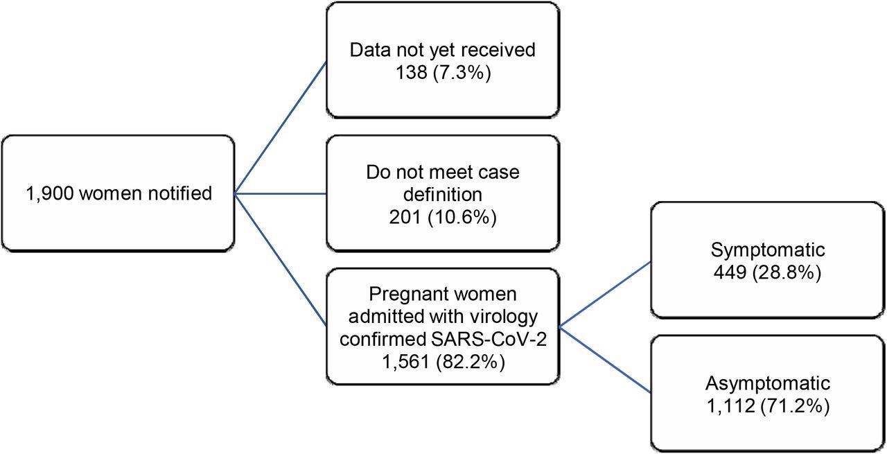 Inclusion flow chart: pregnant women admitted to hospital with SARS-CoV-2 infection, by admission group, UK, 15th December 2021 to 14th January 2022