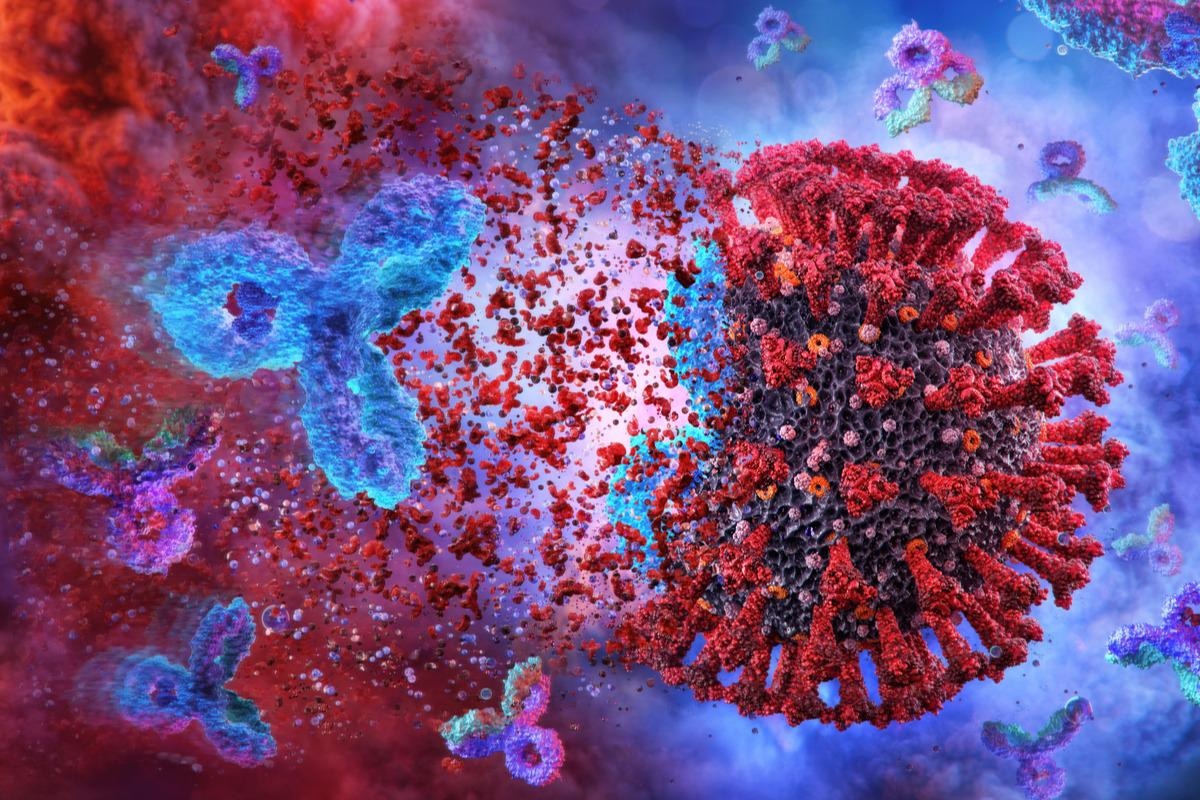 Study: Anti-SARS-CoV-2 IgG and IgA antibodies in COVID-19 convalescent plasma do not enhance viral infection. Image Credit: Corona Borealis Studio/Shutterstock