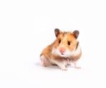 Study reports reduced disease severity in Syrian hamsters during re-infection with SARS-CoV-2 Delta variant
