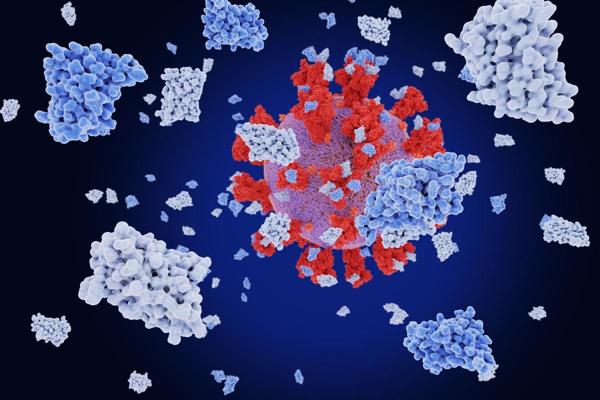 Study: Accelerating PERx Reaction Enables Covalent Nanobodies for Potent Neutralization of SARS-Cov-2 and Variants. Image Credit: Juan Gaertner/Shutterstock