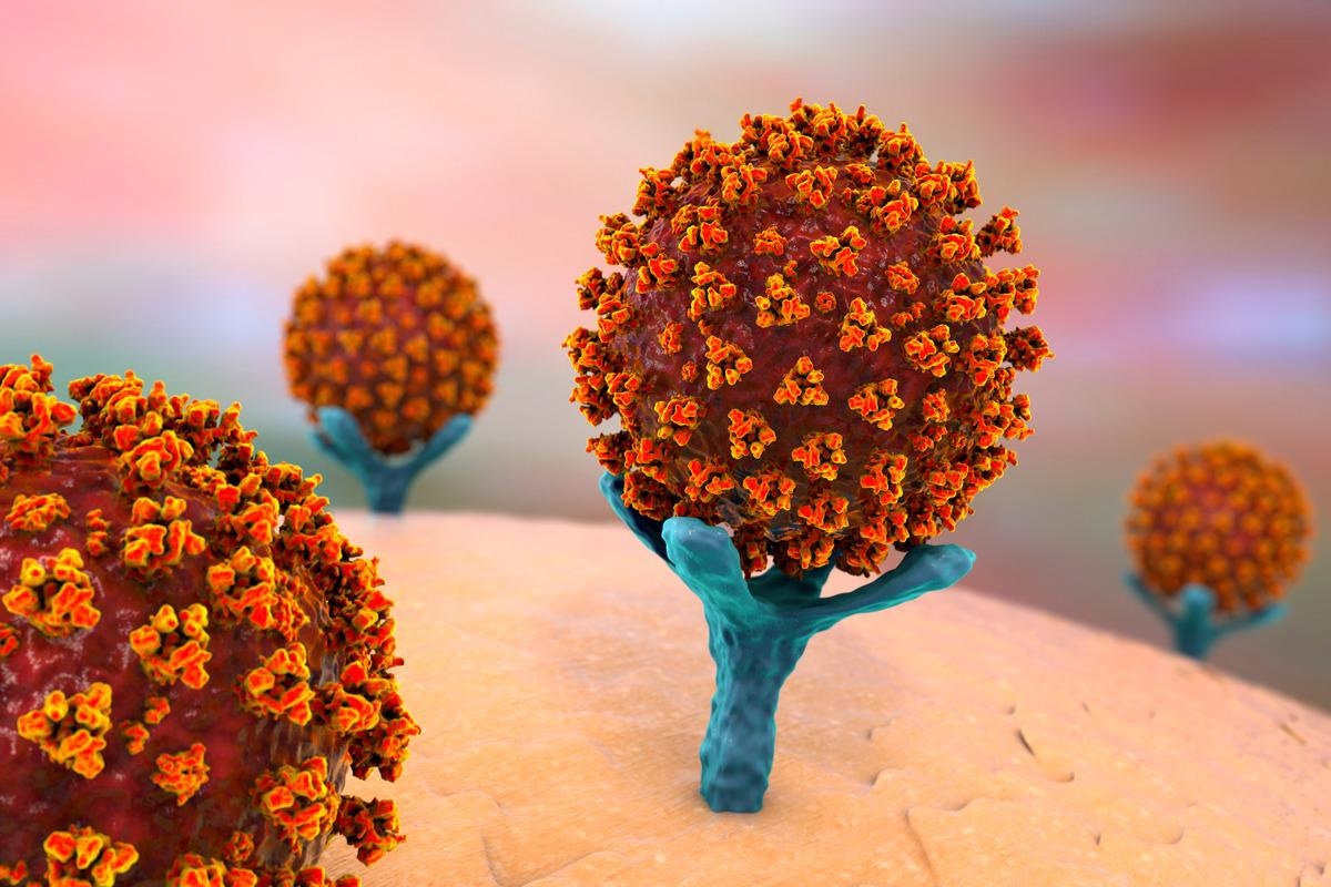 Study: Dual inhibition of vacuolar ATPase and TMPRSS2 is required for complete blockade of SARS-CoV-2 entry into cells. Image Credit: Kateryna Kon/Shutterstock