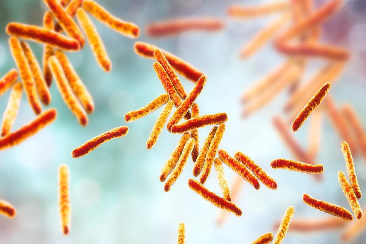 Study: Decrease in Tuberculosis Cases during COVID-19 Pandemic as Reflected by Outpatient Pharmacy Data, United States, 2020. Image Credit: Kateryna Kon/Shutterstock