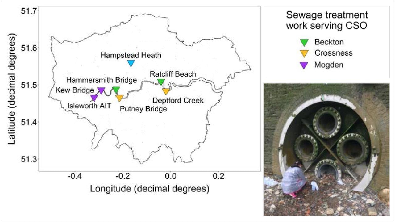 Map of London, showing the River Thames and our seven main sampling sites, coloured by the sewage treatment works that the CSO services. The image shows an example of our sampling effort: collecting samples from Ratcliff Beach CSO at low tide.