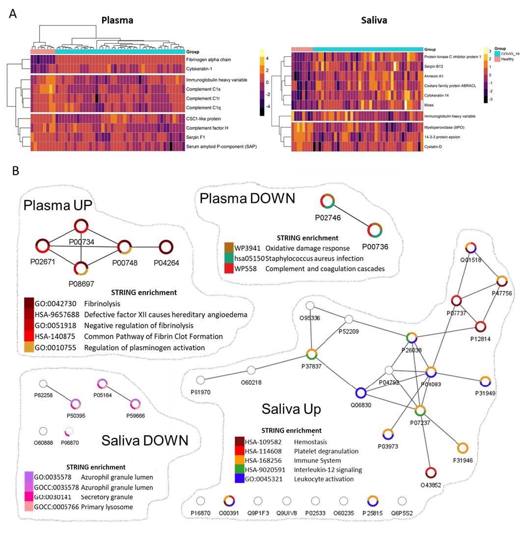 Network analyses depicted biological functions altered in convalescent plasma and saliva.