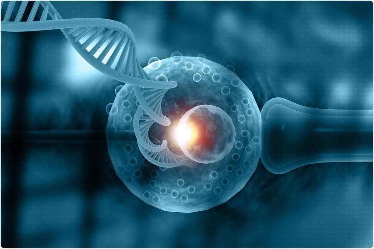 Study: Whole-genome risk prediction of common diseases in human preimplantation embryos. Image Credit: Explode / Shutterstock.com