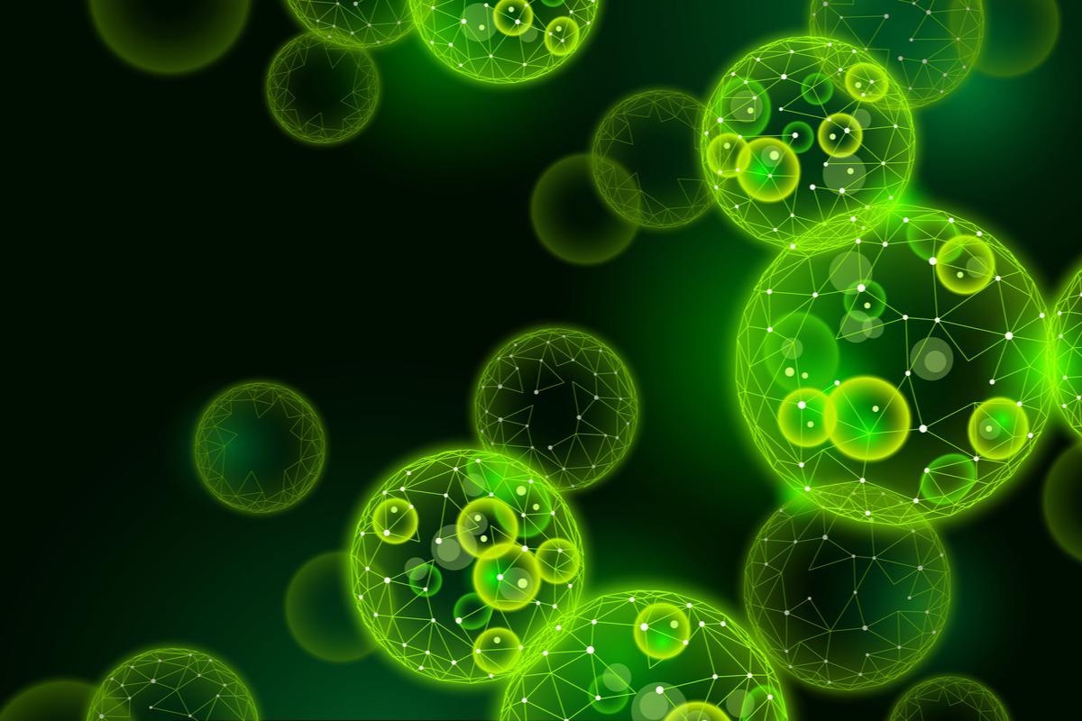 Study: In Vitro Inhibition of SARS-CoV-2 Infection by Dry Algae Powders. Image Credit: LuckyStep/Shutterstock