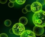 Algae found to inhibit SARS-CoV-2 infection in vitro