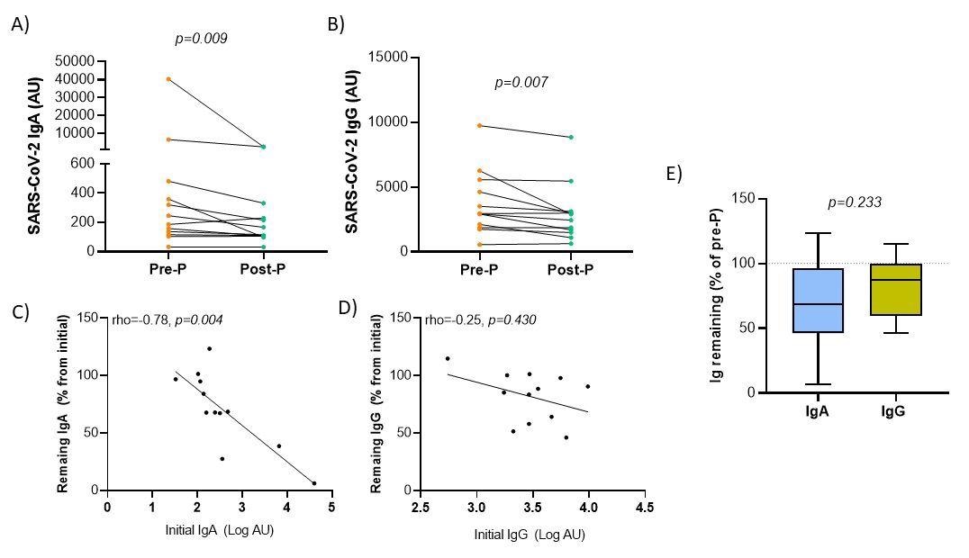 Variación de los niveles de anticuerpos contra el SARS-CoV-2 en la leche materna después de la pasteurización de mujeres embarazadas.  paneles AB.  Comparación de los niveles de anticuerpos de inmunoglobulina A (A) y G (B) antes de la pasteurización (Pre-P) y después de la pasteurización (Post-P).  placa de CD.  Correlación de rango de Spearman entre los niveles iniciales de Ig en unidades transformadas logarítmicas arbitrarias (AU) y el porcentaje de Ig restante con respecto al inicial.  Panel E. Comparación de porcentajes de inmunoglobulinas residuales después de la pasteurización según el isotipo de inmunoglobulina.  Se utilizó la prueba de clasificación de sitios de Wilcoxon para pares idénticos para determinar la significancia de la diferencia entre ambos patrones similares.