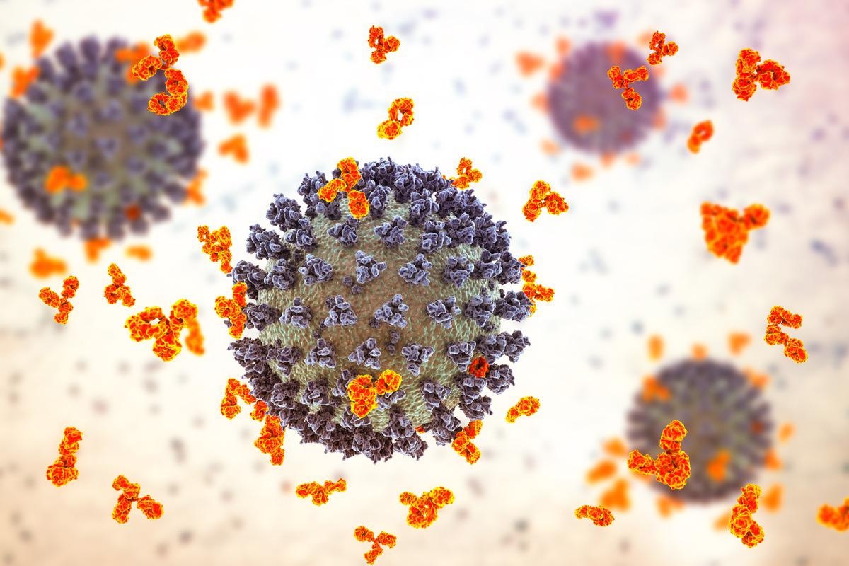 Study: SARS-CoV-2-specific antibody and T-cell responses 1 year after infection in people recovered from COVID-19: a longitudinal cohort study. Image Credit: Kateryna Kon/Shutterstock