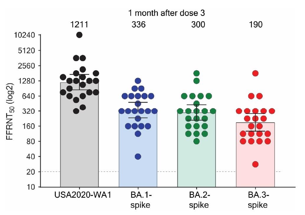 Serum neutralization of Omicron BA.1-, BA.2-, and BA.3-spike mNG SARS-CoV-2s and USA-WA1/2020 after three doses of BNT162b2.