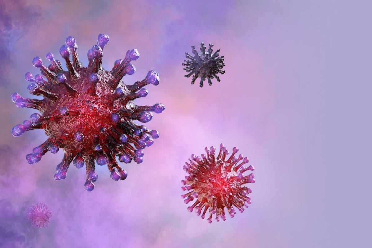 Study: Antiviral roles of interferon regulatory factor (IRF)-1, 3 and 7 against human coronavirus infection. Image Credit: Corona Borealis Studio/Shutterstock