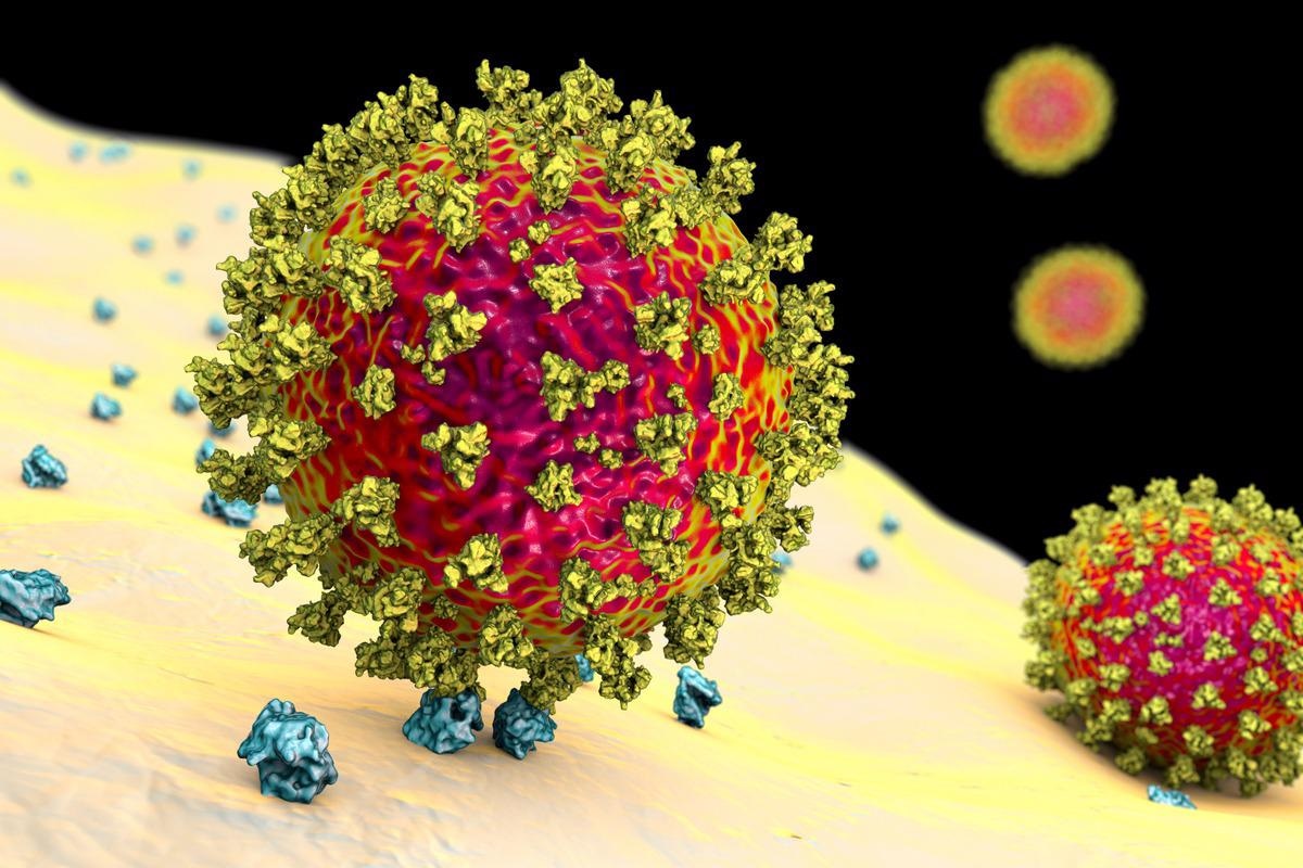 Study: Optimized production and fluorescent labelling of SARS-CoV-2 Virus-Like-Particles to study virus assembly and entry. Image Credit: Kateryna Kon/Shutterstock