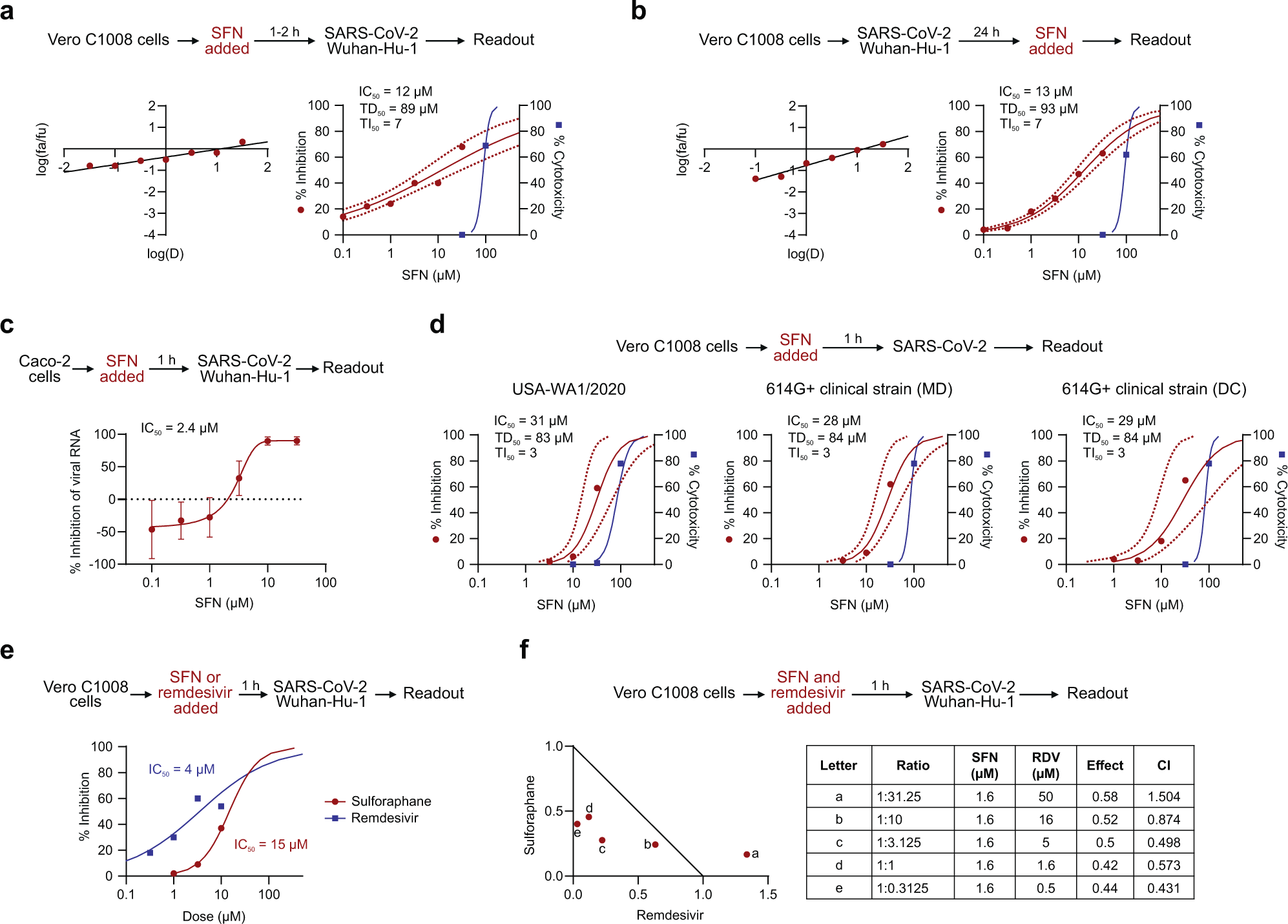 Median effect plot and dose-effect curves calculated for a Vero C1008 cells infected with SARS-CoV-2/Wuhan-Hu-1 after 1–2 h incubation with increasing concentrations of SFN; b Vero C1008 cells infected with SARS-CoV-2/Wuhan-Hu-1 for 24 h and then incubated with SFN. Antiviral data is displayed in red; anti-host cell activity (cytotoxicity) is displayed in blue. c The antiviral activity in human Caco-2 cells was determined by measuring viral RNA by qPCR. The cells were incubated with SFN for 1 h before viral inoculation. d Effects of SFN evaluated in Vero C1008 cells exposed to drug for 1 h followed by viral inoculation. A reference strain (USA-WA1/2020) and two 614G+ clinical strains of SARS-CoV-2 were evaluated for CPE using a bioluminescence readout. e Effects of SFN and remdesivir evaluated in Vero C1008 cells exposed to the drug for 1 h followed by viral inoculation. f Normalized isobologram showing combination index (CI) for combinations of various doses of SFN and remdesivir. Synergism (CI < 1); Additive effect (CI = 1); Antagonism (CI > 1); SFN, Sulforaphane; RDV, Remdesivir. Dotted lines represent 95% confidence interval. Experiments were performed a minimum of two times (range = 2–7), 3–6 replicates within each experiment, except the experiment shown in (e), which was performed once.
