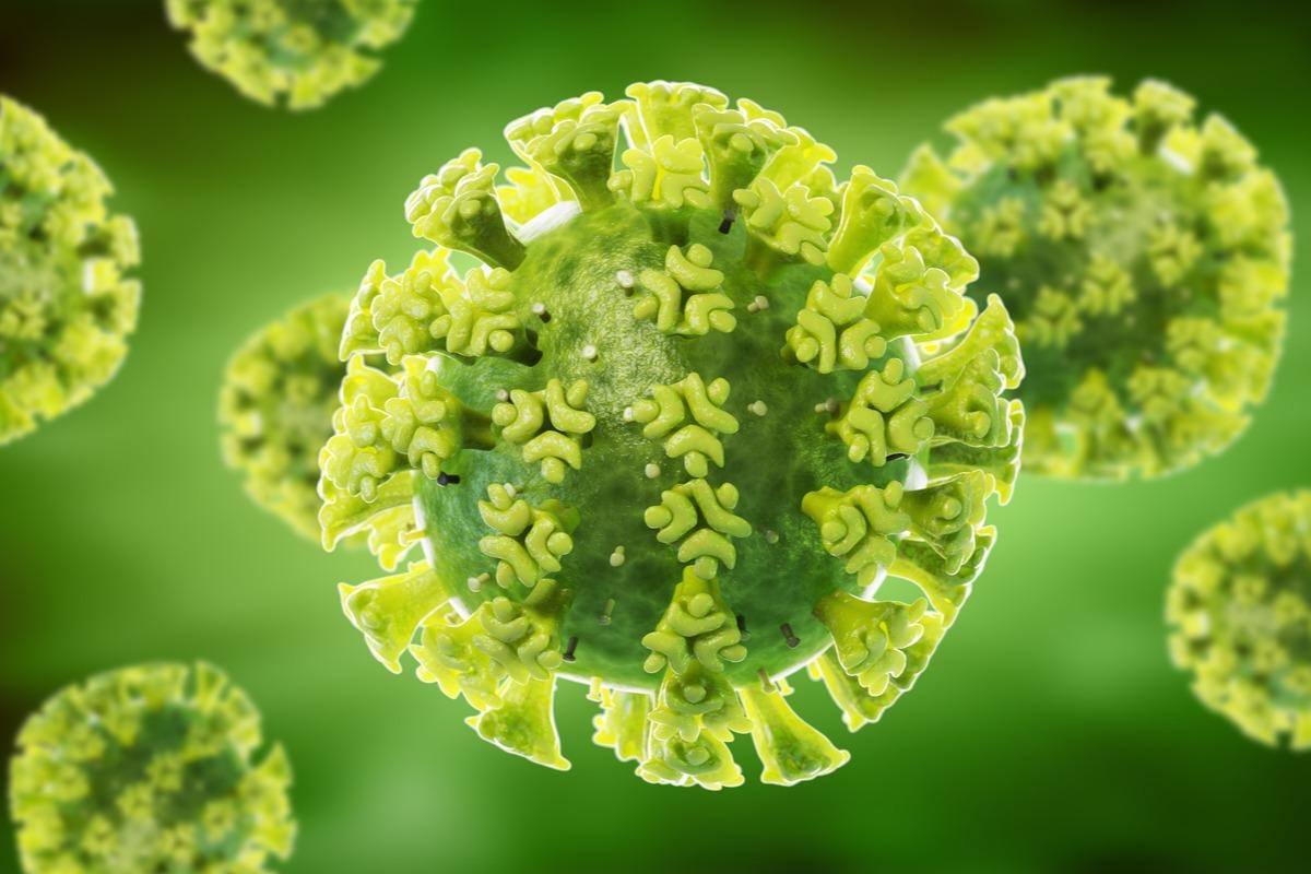 Study: Mosaic RBD nanoparticles protect against multiple sarbecovirus challenges in animal models. Image Credit: SciePro/Shutterstock