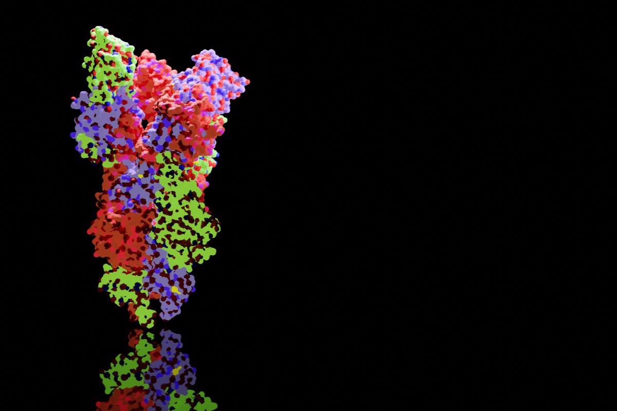 Study: Mutations and Evolution of the SARS-CoV-2 Spike Protein. Image Credit: sanjaya viraj bandara / Shutterstock.com