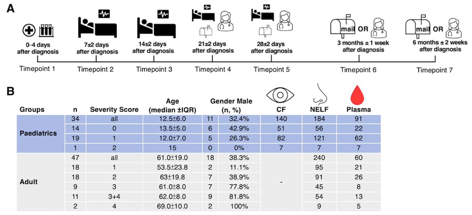 Study design and demographics. (A) A longitudinal sample collection, from the day of diagnosis (disease onset or the first day of a SARS-CoV-2 PCR positive result, whichever was earlier) to six months post-diagnosis, was conducted by healthcare workers during hospitalization and follow-up consultations for paediatric patients. Adult patients performed the self-collection of NELF samples after being discharged and mailed the samples to the laboratory. (B) The number of asymptomatic and symptomatic paediatric and adult subjects, their severity score (0: asymptomatic; 1: mild; 2: moderate; 3: severe; 4: critically ill), age, gender, and the number of CF, NELF and plasma samples collected are shown.