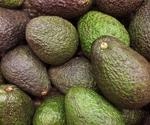 Higher avocado intake associated with lower risk of cardiovascular disease and coronary heart disease in US adults